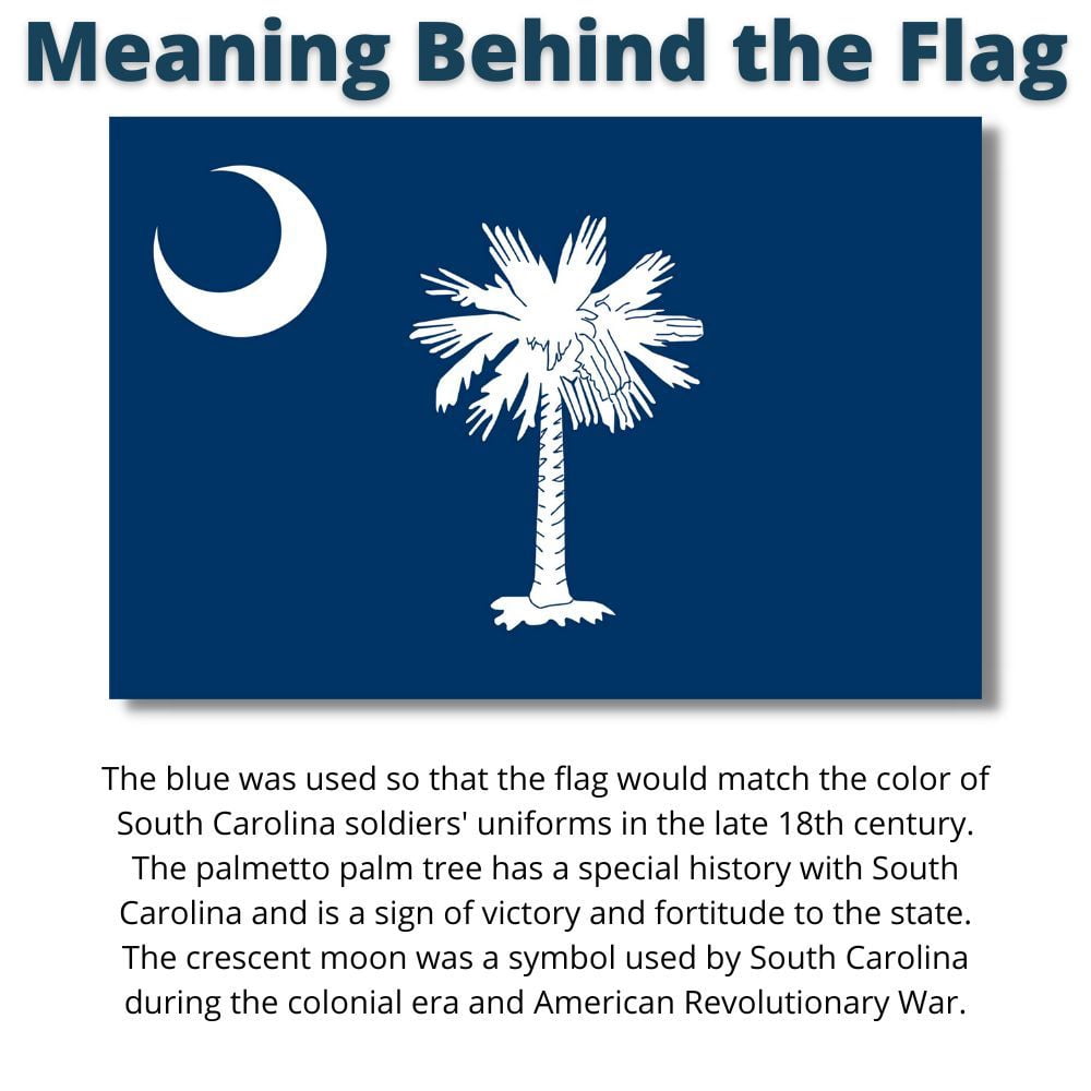 Allied Flag South Carolina State Flag - 3 x 5 - Nylon