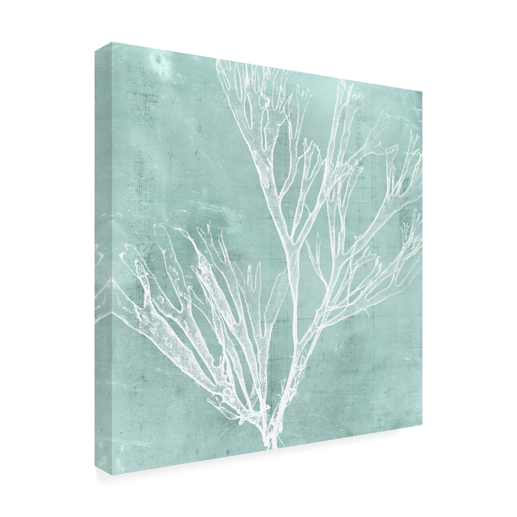 Trademark Fine Art 'Seaweed on Aqua VII' Canvas Art by Vision Studio