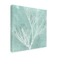 thumbnail image 2 of Trademark Fine Art 'Seaweed on Aqua VII' Canvas Art by Vision Studio, 2 of 3