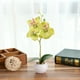 thumbnail image 5 of Simulación de orquídea Phalaenopsis, maceta redonda pequeña, tres flores, arreglo de bonsái, planta verde, macetas de flores artificiales, 5 of 6