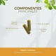 thumbnail image 3 of Suplemento Moringa HB + Jengibre 90 Cápsulas 500 Mg Biosuple Moringa HB, 3 of 3
