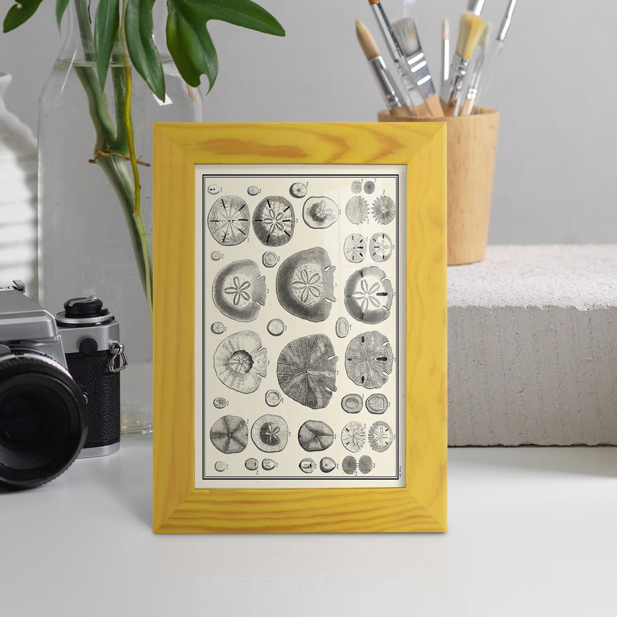 Aegean Collection II -Framed Print w/glass-Sunflower Yellow