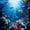Fish 02, variant on Manfei Underwater Shark Twin Bedding Sets for Kids Boys and Girls, Marine Life Print Bedding Comforter Set, Navy Reversible 7pcs