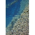 thumbnail image 2 of Paulson, Don 23x32 White Modern Wood Framed Museum Art Print Titled - OR Reflection patterns on  Little Crater Lake, 2 of 4
