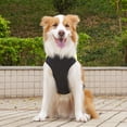 thumbnail image 6 of NovaStitch Padded Vest Dog Jacket Warm Zip Up Vest Fleece Jacket Water Resistant for Small to Medium Dogs Blue 2XL, 6 of 7