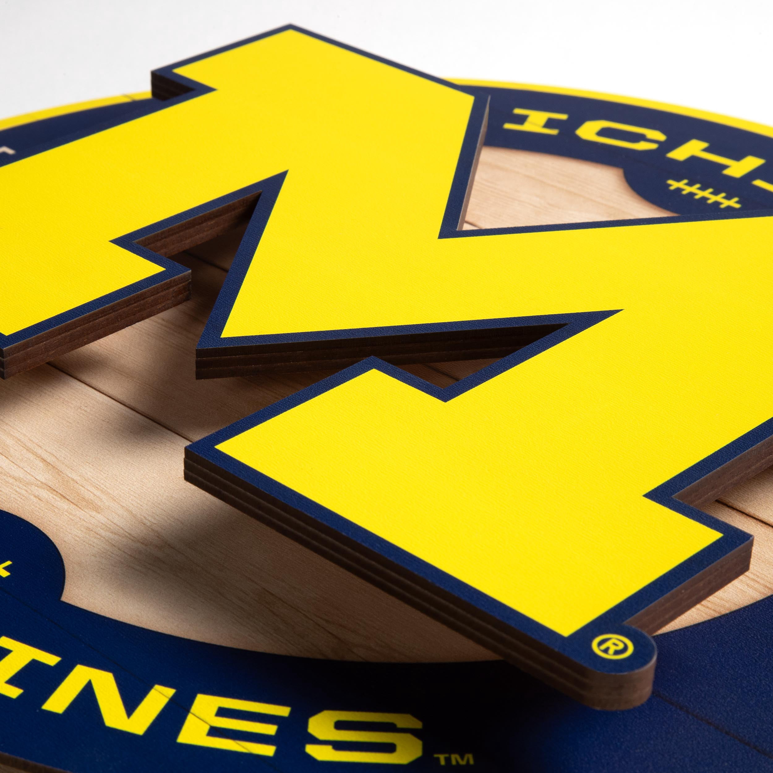 YouTheFan NCAA Michigan Wolverines 3DX Circle Wall Art