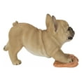 thumbnail image 3 of Bouledogue Français Lavage du Sol, 3 of 5
