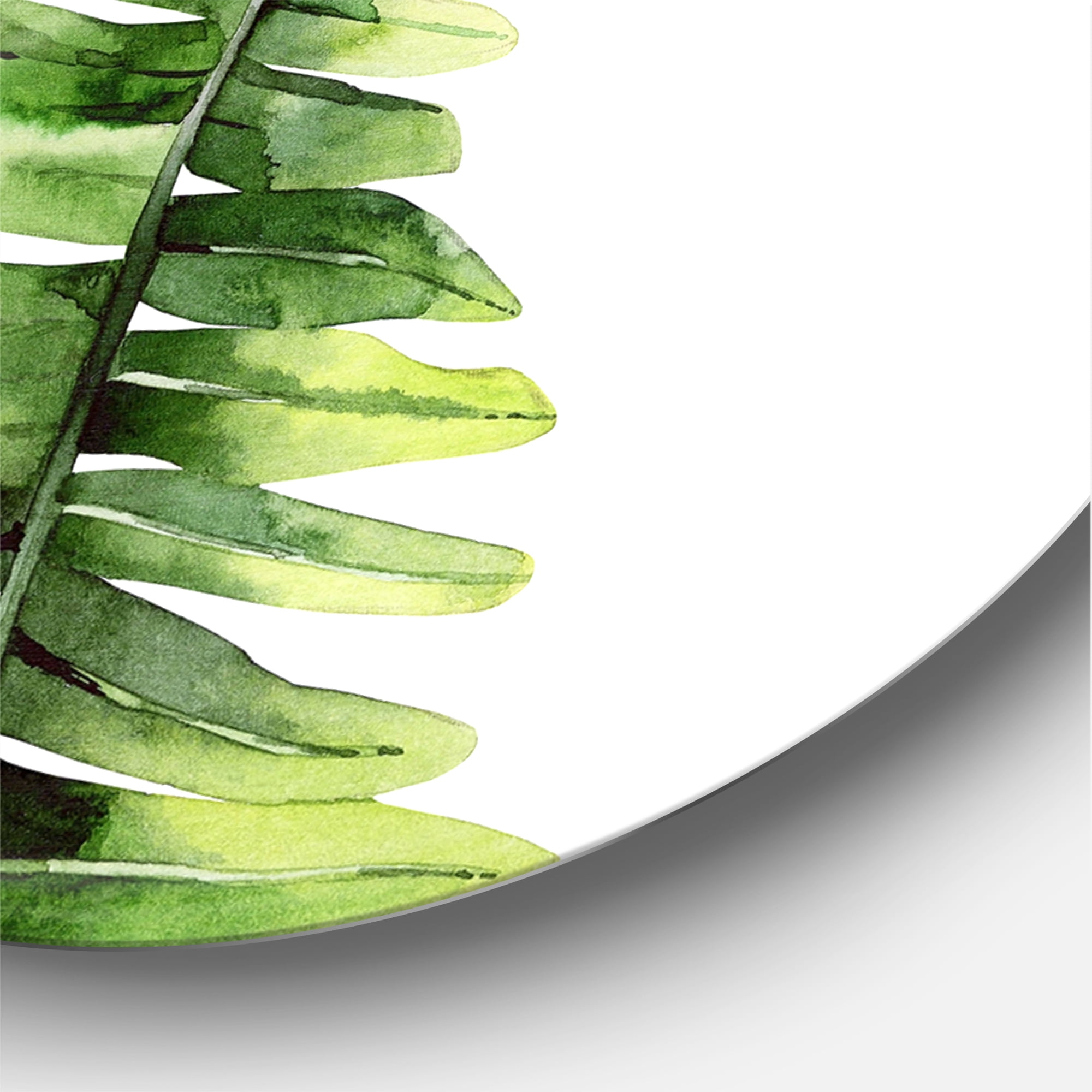 Designart 'Fern Plant Leaves Detail V' Tropical Circle Metal Wall Art 29x29 - Disc of 29