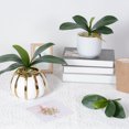 thumbnail image 2 of LCXmlly Fake Plant Home Decor Elegance: Simulation Phalaenopsis Orchid Leaves, 2 of 6