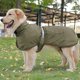 thumbnail image 1 of Ropa para perros Chaleco para cachorros Cálido impermeable para clima frío (XL) Verde, 1 of 6