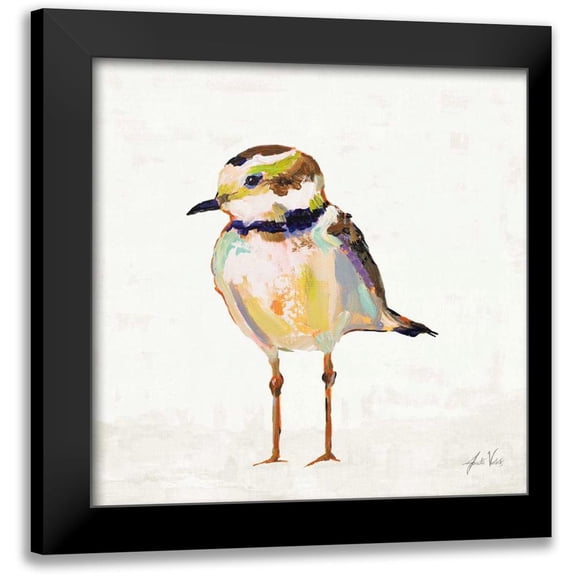 Vertentes, Jeanette 12x12 Black Modern Framed Museum Art Print Titled - Coastal Plover II Linen