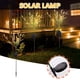 thumbnail image 1 of Lámpara Solar Led con Forma de Flor de Colza para Jardín, Enchufable, para Exteriores., 1 of 7