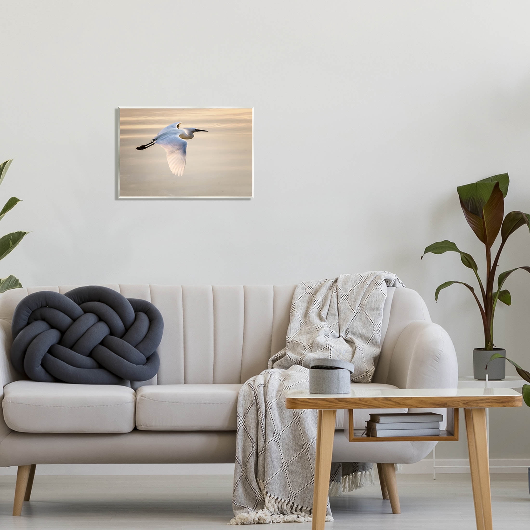 Egret Gliding Aerial View Animals & Insects Photograph Unframed Art Print Wall Art