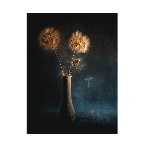 Canvas Wall Art - Antonio Grambone 'Botanical' Wall Art for Living Room, Bedroom, or Office Décor by Trademark Fine Art - 14 x 19 Inches