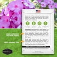 thumbnail image 3 of 2 packs Mixed Annual Phlox Seeds - Full Sun Heirloom Flower, 3 of 5