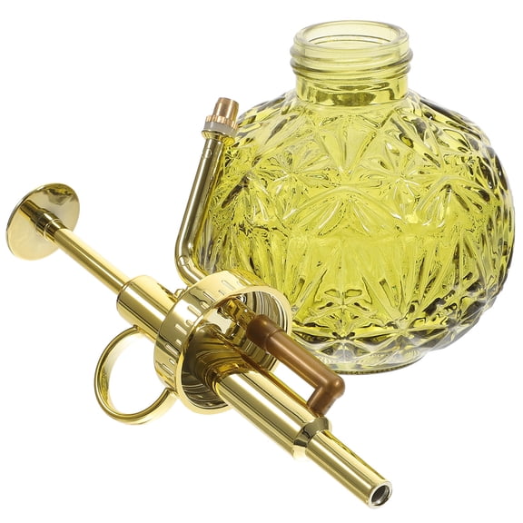 WASHWEPE Indoor Watering Spray Bottle Clear Glass 1Set 8.5X6.3In