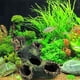 thumbnail image 4 of 2 piezas de troncos en descomposición, con agujeros y cuevas para acuario, decoración de madera para pecera, adorno de resina de madera flotante para acuario, para decoración de acuario, 4 of 5