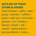 thumbnail image 4 of Kids ‘N’ Pets Stain + Odor Remover cleans even dog, cat urine smells, spots from carpet, couch - 27oz - 4 pack, 4 of 5