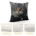 thumbnail image 4 of Orinice Cute Cat Graphic Decorative Cushion Throw Pillow Cover for Home Couch Living Room Bed Sofa, Autumn Pillowcase for Car Bedroom, 1PC 18x18in, 4 of 5