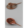 thumbnail image 4 of Simulated Sea Life Animals Figurines Realistic Sea Creature Model Plastic Ocean Animals Action Figure for Collection (Horseshoe Crab), 4 of 5