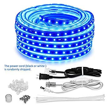 50ft 15m Led Lights Strip Kit Connectable Flexible Rope Lights Waterproof Blue 110v 2 Wire 900 Units Smd 2835 Leds Power Supply Indoor Outdoor Use Ideal For Backyards Any Location Lighting Walmart Com Walmart Com Ace rewards members spending $50 or more are eligible to receive free these light bulbs are known for long life and energy efficiency. 50ft 15m led lights strip kit connectable flexible rope lights waterproof blue 110v 2 wire 900 units smd 2835 leds power supply indoor outdoor use