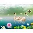 thumbnail image 1 of Taladro Diamante Pintura (DF4580) 5D DIY Cisne Completo Bordado Mosaico Craft Kits (w620) 20X30cm Hugtrwg Para estrenar, 1 of 2