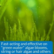 API AlgaeFix Controls Algae Growth for Freshwater Aquariums [Aquarium Algaecides, Aquarium Supplies] 24 oz (3 X 8 oz)
