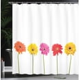 thumbnail image 3 of Ambesonne Floral Design Shower Curtain, Gerbera Flowers Print, 69"Wx70"L, Dark Pink Burnt Orange, 3 of 4
