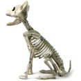 thumbnail image 1 of Esqueleto de perro en miniatura decorativo para Halloween, huesos de perro en cuclillas de plástico con articulaciones activas, 1 of 4