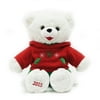 Snowflake Teddy Plush