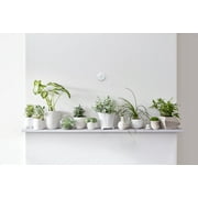Google Nest Thermostat E in White