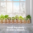 thumbnail image 6 of 9 Herb Window Garden Kit  - Best Gift Ideas for Women, Friend, Her, Mom - Birthday Gifts - Housewarming Present - House Plant Seeds, 6 of 7