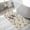 Beige, variant on Cute Fox Washable Area Rugs for Living Room Bedroom, Large Non Slip Indoor Floor Carpet Absorbent Low Pile Funny Animals Watercolor Star Bunny Door Mat Rugs for Bathroom Entryway 47.2"x63"