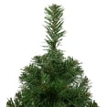 thumbnail image 4 of Northlight Medium Oakridge Noble Fir Artificial Christmas Tree - 2' - Unlit, 4 of 7