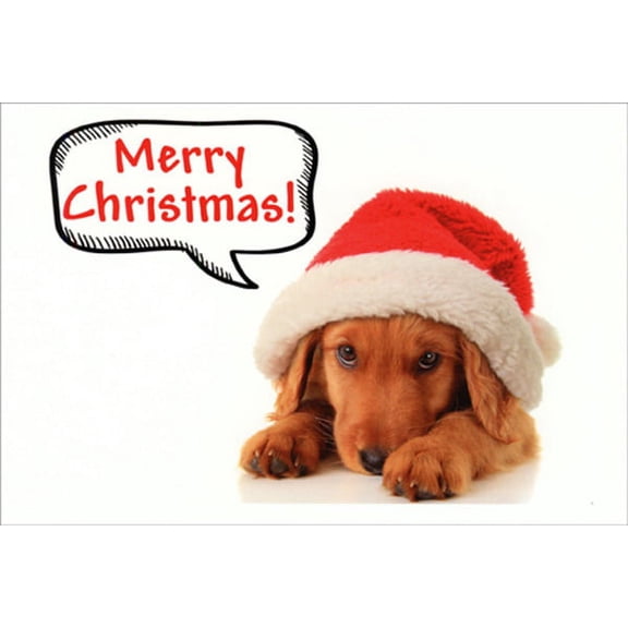 Nobleworks Santa Pups Dachshund Blank Cute Dog Christmas Card (1 card/1 envelope)
