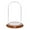 Walnut Veneer Base, variant on Plymor 4" x 7" Small Glass Display Dome Cloche (Walnut Veneer Base)