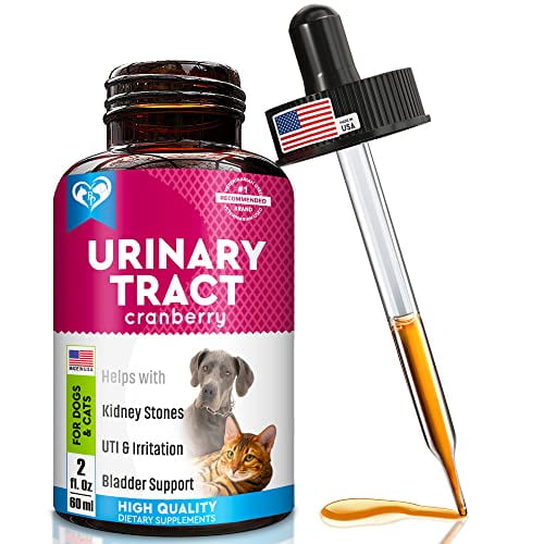 cat uti medicine walmart