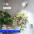 thumbnail image 3 of Luz de Cultivo en Riel Barrina TR40a 40W para Plantas de Interior 5000K, 3 of 9