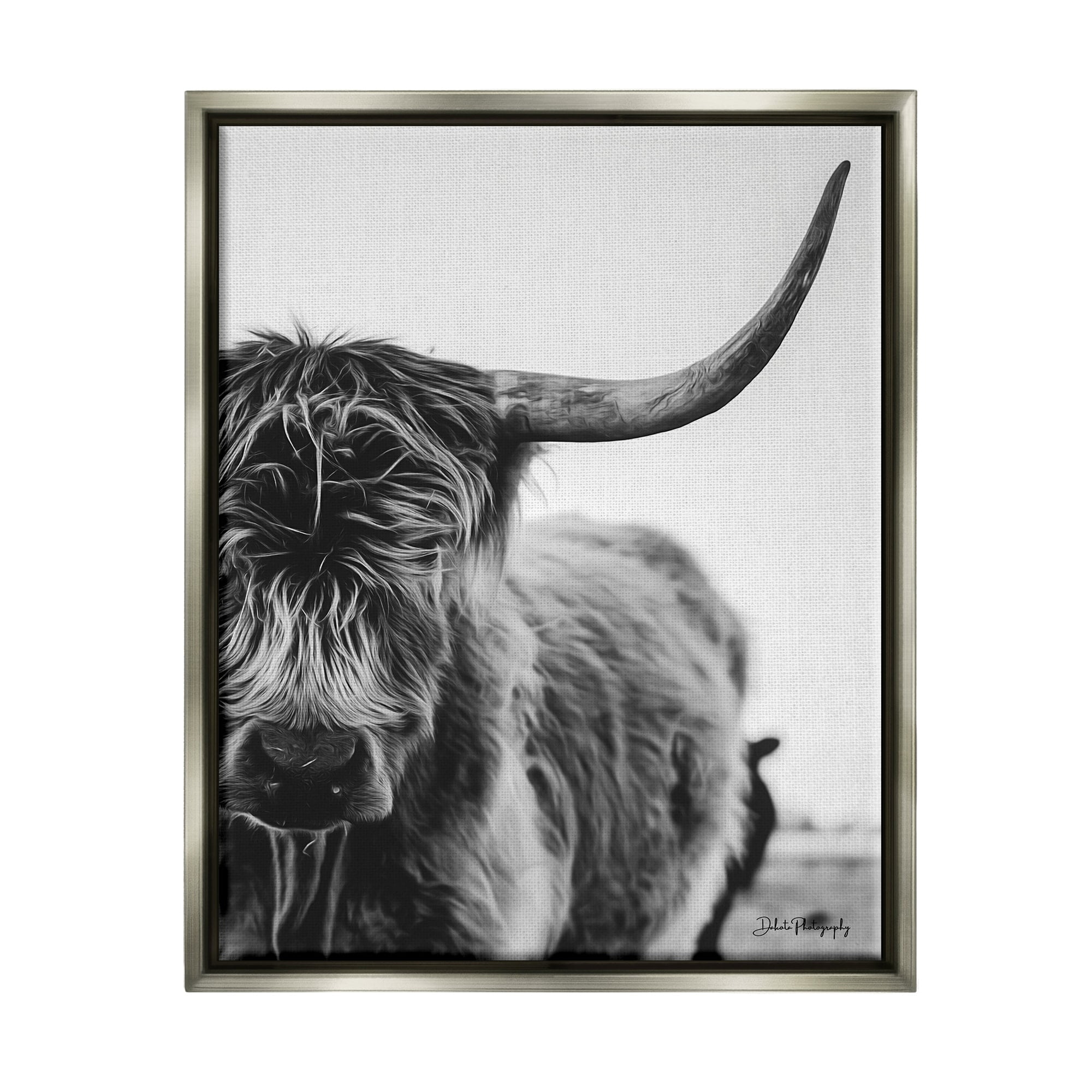 Stupell Industries Highland Cow Cattle Horn Close Up Serene Photography Photograph Luster Gray Floating Framed Canvas Print Wall Art, Design by Dakota Diener