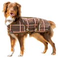 thumbnail image 3 of Schneiders Quilted Lightweight Dog Coat | Closed Front | Navy | Size Medium, 3 of 3