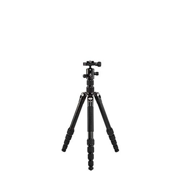 Benro Tripster Trépied/monopode de Voyage - Série 1 Noir AL (FTR19AB0GBLK)