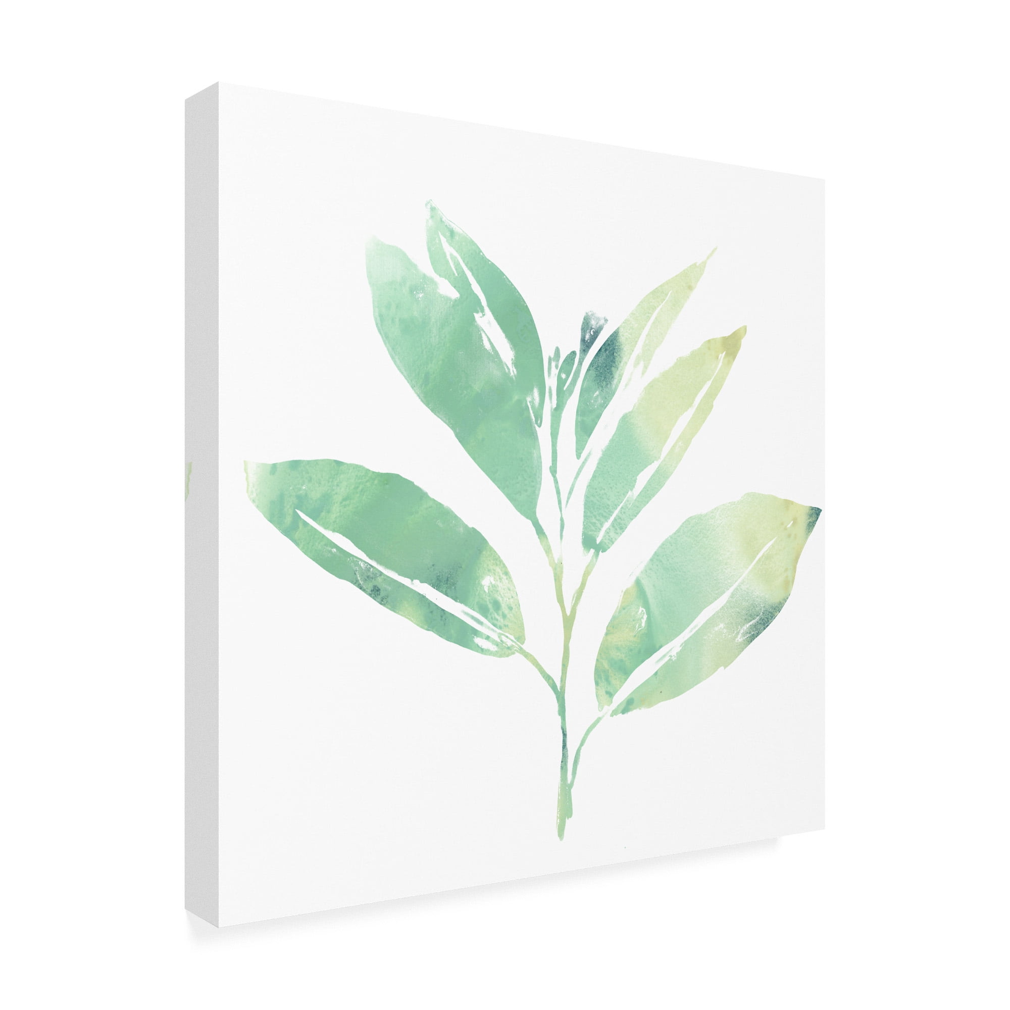 Trademark Fine Art 'Prisma Tropical II' Canvas Art by June Erica Vess