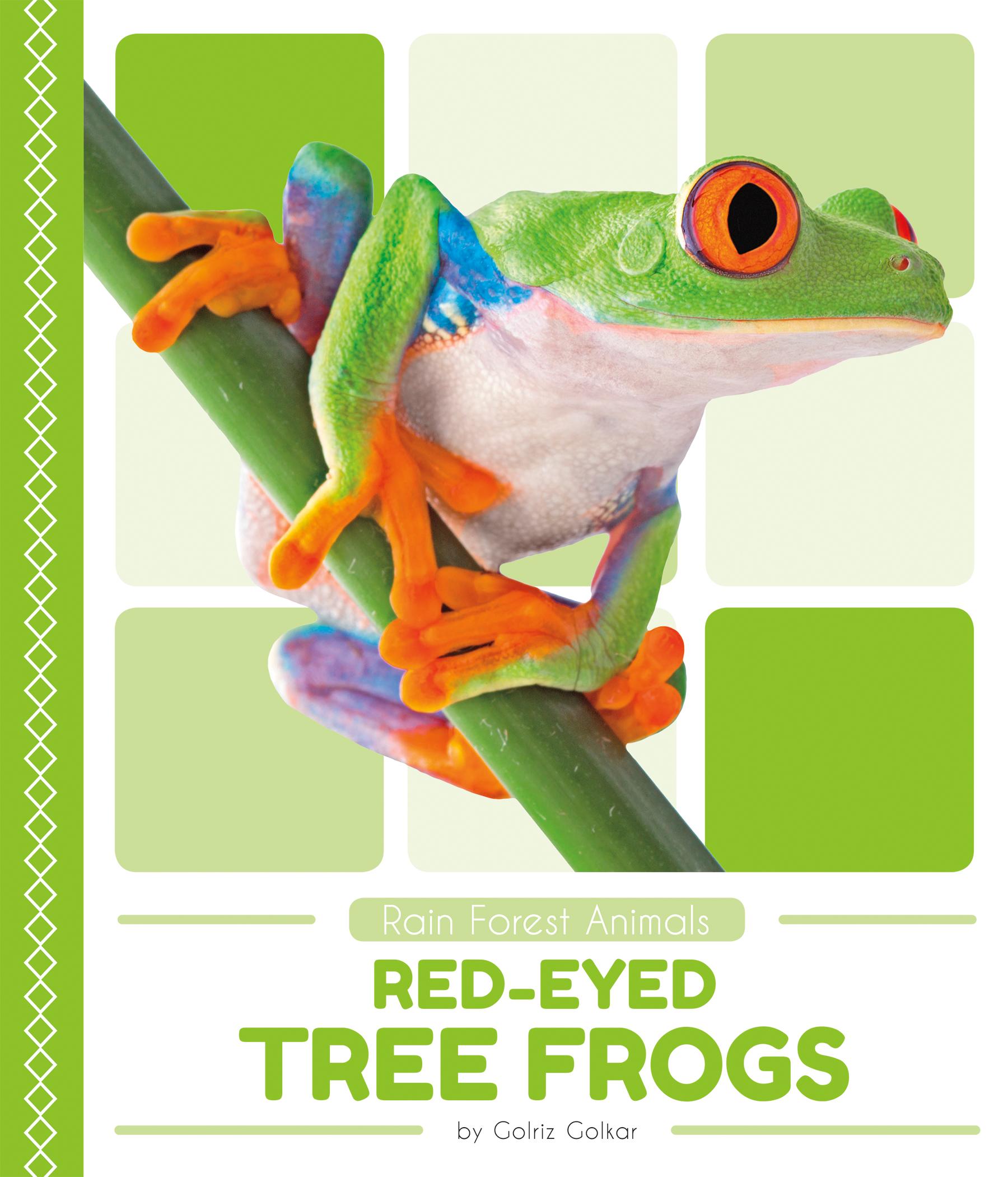 RedEyed Tree Frogs (Paperback)