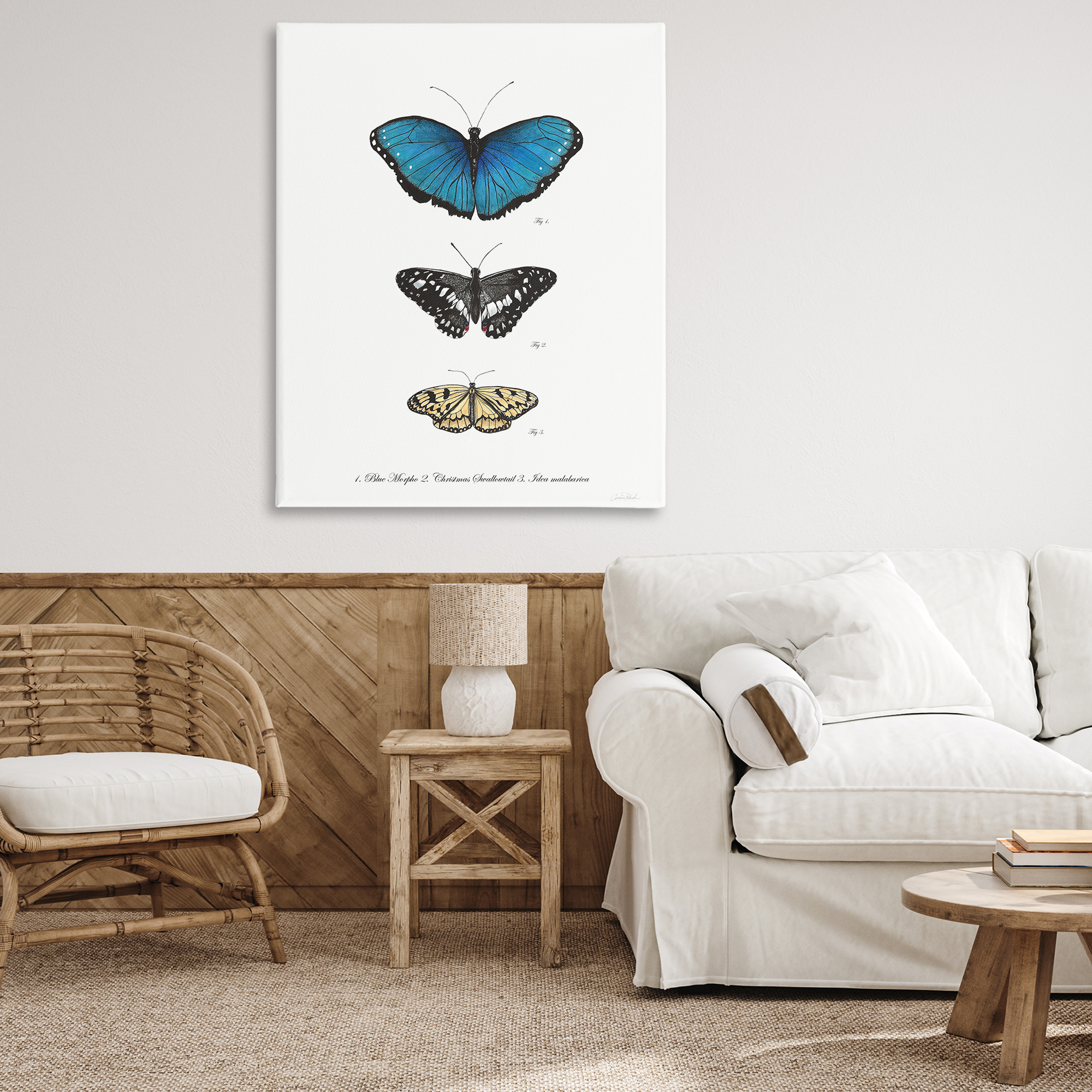 Stupell Industries Vintage Butterfly Specimens Animals & Insects Painting Gallery Wrapped Canvas Art Print Wall Art, 36 x 48