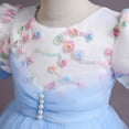 thumbnail image 5 of XMMSWDLA Toddler Girl Clothes Children's Dresses Girls Sleeveless Princess Dress Flower Mesh Dress, 5 of 8