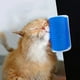 thumbnail image 5 of Cepillo rascador para gatos de esquina gris, cepillo más suave para autogrooming con catnip, masajeador de esquina con rascador para pared para gatos con pelo largo y corto, gatitos, perros, 5 of 5