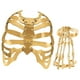 thumbnail image 4 of Accesorios para disfraces de Halloween, accesorios espeluznantes, fiesta, disfraces, terror, peto, 4 of 10