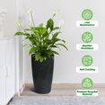thumbnail image 2 of QinaQin Juego de 2 macetas altas autorriego de 22'' y 16'' para interior y exterior – Plástico resistente blanco y negro – Drenaje incorporado y monitor de nivel de agua – Ideales para patio, porche, 2 of 9