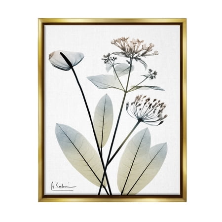 Stupell Industries Contemporary Flower Shapes Botanical & Floral Photography Gold Floater Framed Canvas Art Print Wall Art 25 x 31