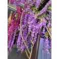 thumbnail image 5 of 12pcs Artificial Wisteria Flower Vine, 5 of 5